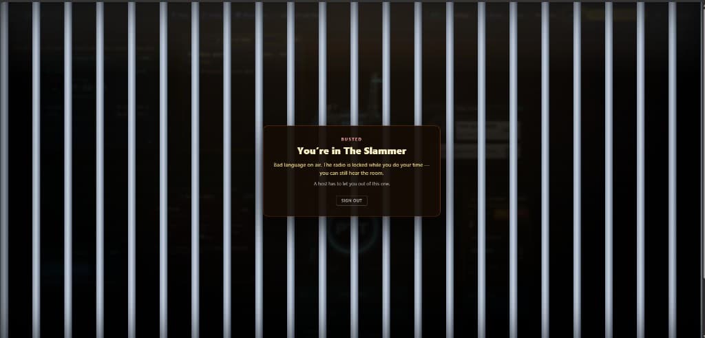You’re in The Slammer BUSTED overlay with jail bars